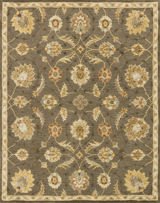 Loloi Walden WD-06 Coffee / Beige Area Rug Main Image