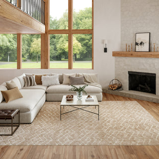 Nourison Washable Charm WCH01 Beige Ivory Area Rug Corner Image