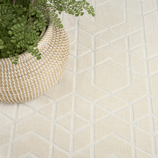 Nourison Washable Charm WCH01 Ivory Area Rug Corner Image