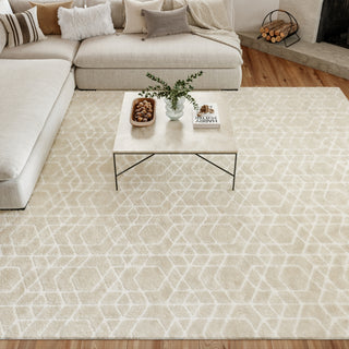Nourison Washable Charm WCH01 Ivory Area Rug Room Image Feature