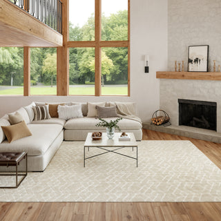 Nourison Washable Charm WCH01 Ivory Area Rug Corner Image