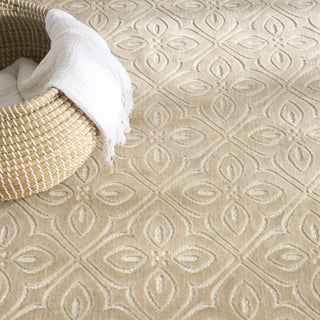 Nourison Washable Charm WCH03 Beige Ivory Area Rug Texture Image