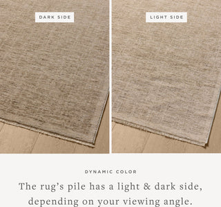 Loloi II Winston WIT-01 Taupe / Bone Area Rug Lifestyle Image Feature