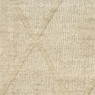 Nourison Wool Haven WOH01 Beige Area Rug Swatch Image