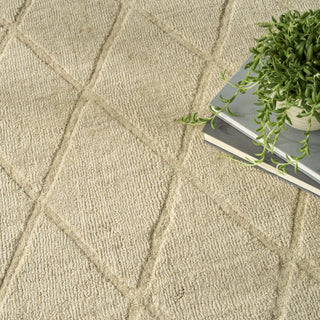 Nourison Wool Haven WOH01 Beige Area Rug Texture Image