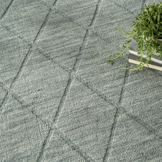 Nourison Wool Haven WOH01 Blue Area Rug Texture Image