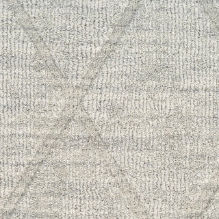Nourison Wool Haven WOH01 Grey Area Rug Swatch Image