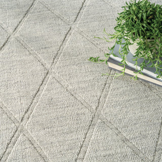Nourison Wool Haven WOH01 Grey Area Rug Texture Image