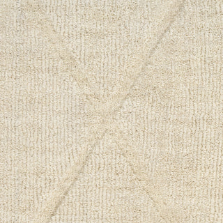 Nourison Wool Haven WOH01 Ivory Area Rug Swatch Image