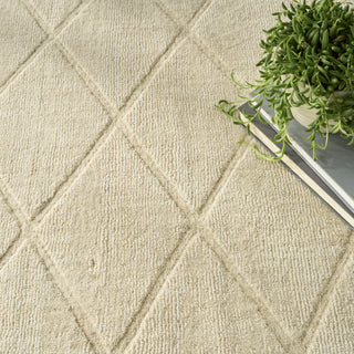 Nourison Wool Haven WOH01 Ivory Area Rug Texture Image