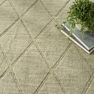Nourison Wool Haven WOH01 Sage Area Rug Texture Image
