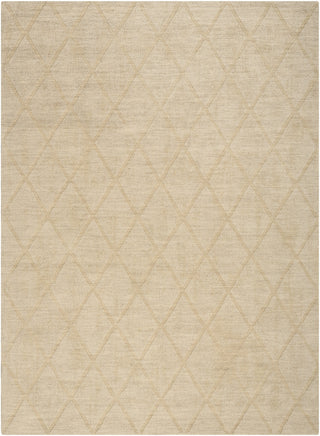 Nourison Wool Haven WOH01 Beige Area Rug main image