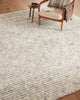 Amber Lewis x Loloi Woodland WOO-01 Silver Area Rug