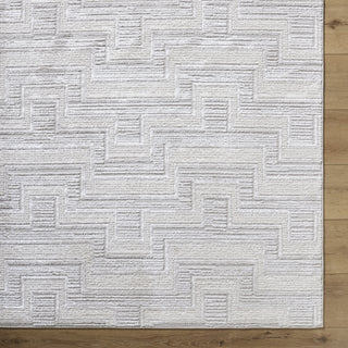Livabliss Wolly WOY-2301 Area Rug by Surya Detail
