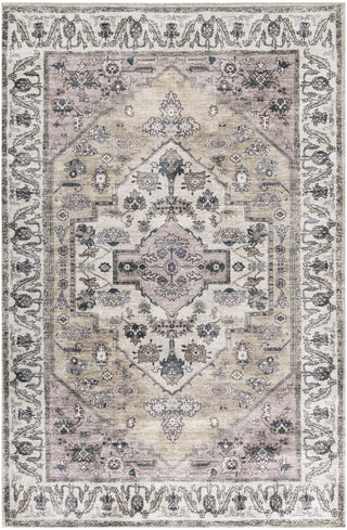 Nourison Brilliance Machine Washable WSB03 Beige Multicolor Area Rug by Home Main Image