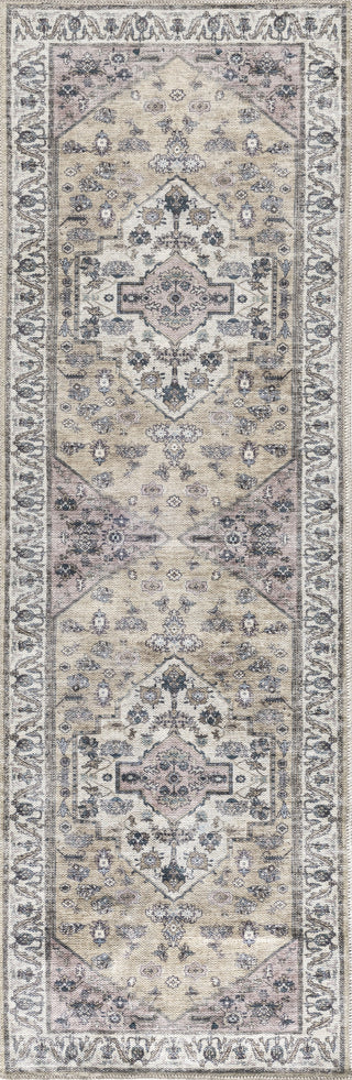 Nourison Brilliance Machine Washable WSB03 Beige Multicolor Area Rug by Home Main Image