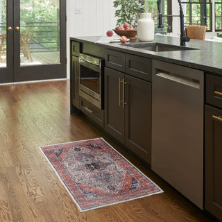 Nourison Brilliance Machine Washable WSB05 Ivory/Brick Area Rug by Home Room Scene 2