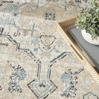 Nourison Washable Decor WSD12 Taupe Blue Area Rug Texture Image
