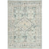 Nourison Washable Decor WSD12 Blue Taupe Area Rug 