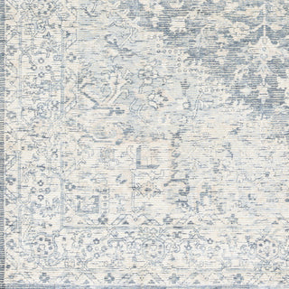 Surya Wilson WSN-2303 Area Rug Swatch