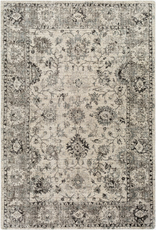 Surya Wilson WSN-2309 Area Rug main image