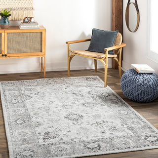 Surya Wilson WSN-2309 Area Rug Room Scene Feature