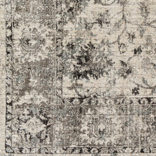 Surya Wilson WSN-2309 Area Rug Swatch