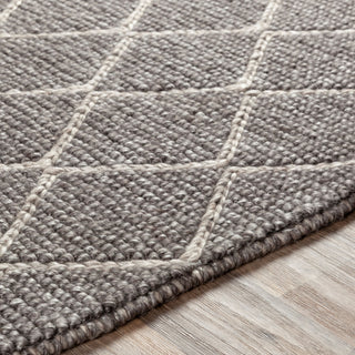 Surya Whistler WSR-2301 Area Rug Detail