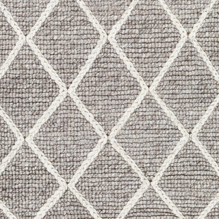 Surya Whistler WSR-2303 Area Rug Swatch