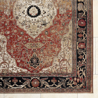 Livabliss Warsaw WSW-2303 Area Rug by Surya Detail