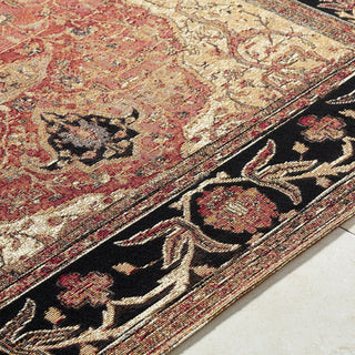 Livabliss Warsaw WSW-2303 Area Rug by Surya Detail