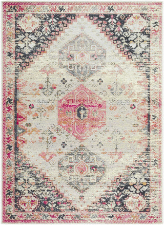 Livabliss Warsaw WSW-2305 Ivory Area Rug Main