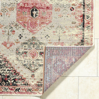 Livabliss Warsaw WSW-2305 Ivory Area Rug Pile