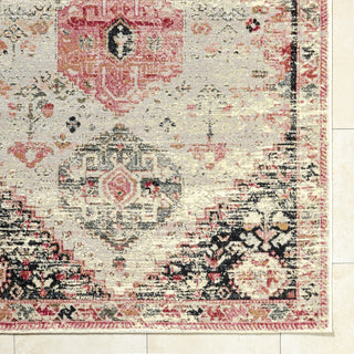 Livabliss Warsaw WSW-2305 Ivory Area Rug 