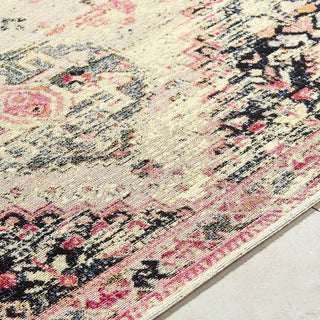 Livabliss Warsaw WSW-2305 Ivory Area Rug Detail