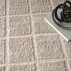 Nourison West End Ave WTE01 Beige Area Rug by DKNY Corner Image