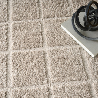 Nourison West End Ave WTE01 Beige Area Rug by DKNY Corner Image