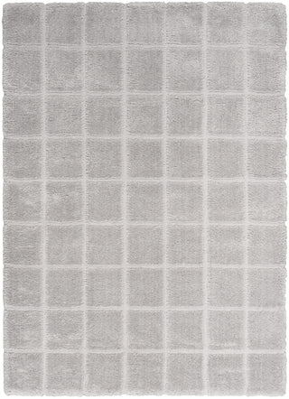 Nourison West End Ave WTE01 Grey Area Rug by DKNY main image