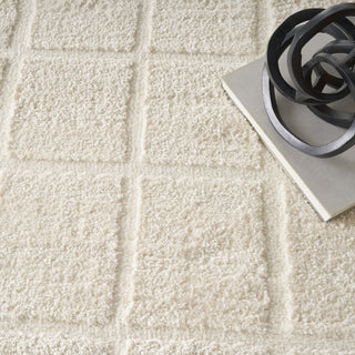 Nourison West End Ave WTE01 Ivory Area Rug by DKNY Corner Image