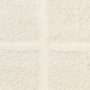 Nourison West End Ave WTE01 Ivory Area Rug by DKNY Swatch Image
