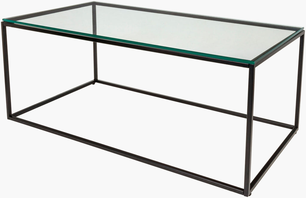 Surya Aryaa YAA-003 Clear / Black Furniture main image