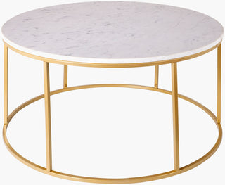 Surya Aryaa YAA-017 White / Gold Furniture main image