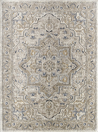 Livabliss Zidane ZDN-2301 Ash Area Rug