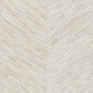 Surya Zander ZND-1001 Area Rug Swatch