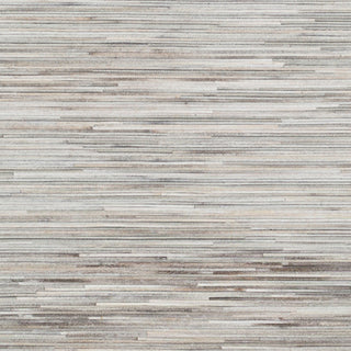 Surya Zander ZND-1009 Area Rug Swatch