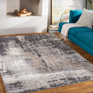 Surya Tuscany TUS-2312 Area Rug Room Scene Featured