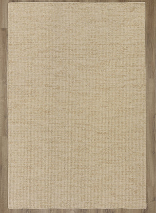 Rizzy Zag ZAG106 Beige Area Rug 5 X 8