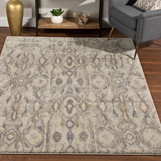 Dalyn Aero AE2 Silver Area Rug Room Scene Image