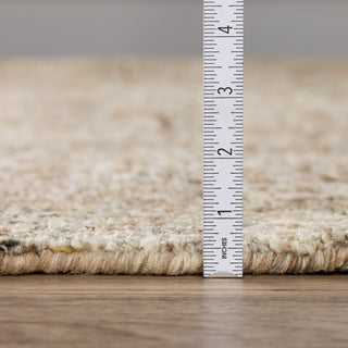 Dalyn Calisa CS5 Coffee Area Rug Pile 