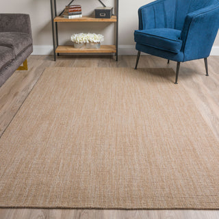 Dalyn Monaco Sisal MC100 Mocha Area Rug Room Scene Featured 